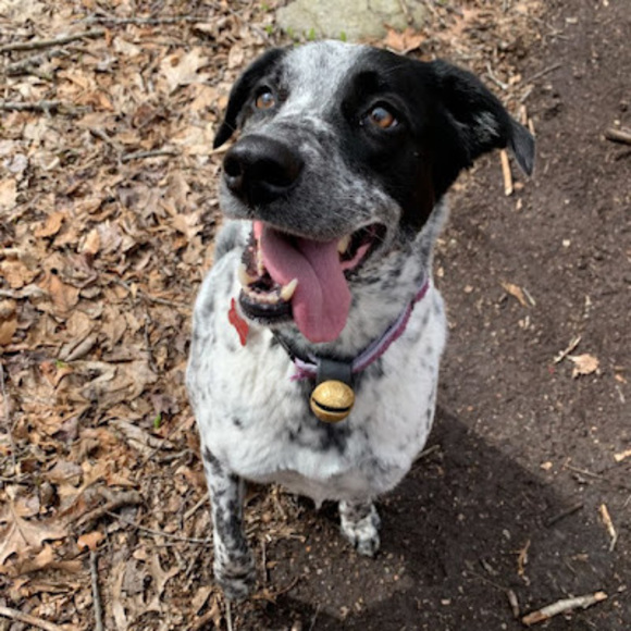 Meet your Posher, Mackenzie - Picture 1 of 1